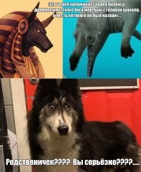 Как похож! Как похож! Одно лицо...