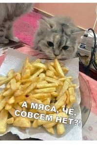 Мои жареную картошку хавают за милую душу