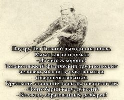 Весёлые картинки