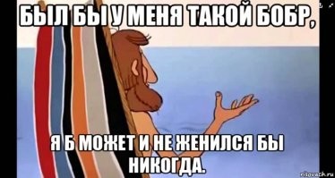 Очень хозяйственный бобр