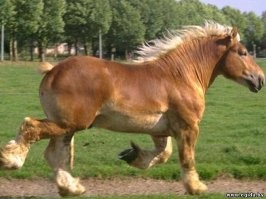 Когда решила стать королевой пляжа