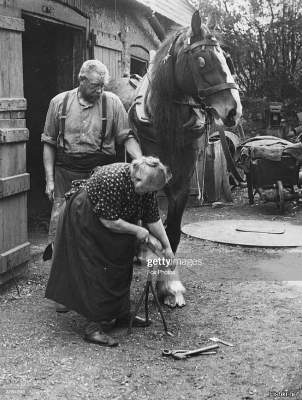70-летняя Элизабет Арнольд, считающаяся единственной женщиной-кузнецом в Англии, подковывает лошадь возле 400-летней кузницы в графств Кент. Великобритания , 1938 г .
Похоже Якубовичу коня подковвывает...