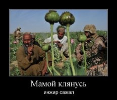 Юмор для хорошего настроения