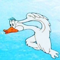 Американцы подшучивают над репортерами, которые излишне театрально сражаются с ураганным ветром