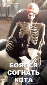 15 доказательств того, что "личное пространство" для животных - пустой звук 