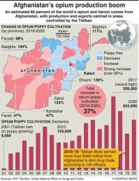Относительно вопроса производства наркотиков в Афганистане после начала американской интервенции. Начало интервенции произошло как раз в тот год, когда производство героина упало до минимальных показателей с 1990 по 2001 года. В последующие 20 лет после 2001 года, США обеспечили возможность для взрывного роста производства героина. Некоторый спад в начале 10х связан с применением химического грибка, который пожирал маковые посевы. Но эту кампанию быстро свернули.