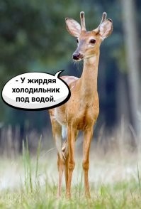 Скрины из соцсетей