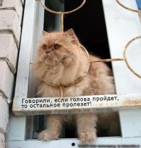 Смешные и познавательные картинки