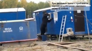 Миха делает заказ?