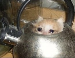 Когда решила стать королевой пляжа