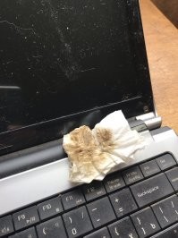 Не давно приехал на вызов к дедушке-инвалиду с одной ногой , ноутбук ремонтировать. Так же взял 1000р за чистку от пыли, замену термопасты и переустановку виндовс с полным комплектом драйверов + настройка мфу и тд). Не люблю с пожилых брать деньги, но его жена настояла. Плюс посмотрел еще 2 ноутбука, которые "пометили" его коты. Без вариантов ремонтировать, моча попала внутрь на мат.плату, окисление сильнейшее, да и ноуты уже древние. На фото попытка отмыть кошачью мочу с корпуса ноутбука, чтобы хоть как то открыть его)) Запах конечно был неописуемый!