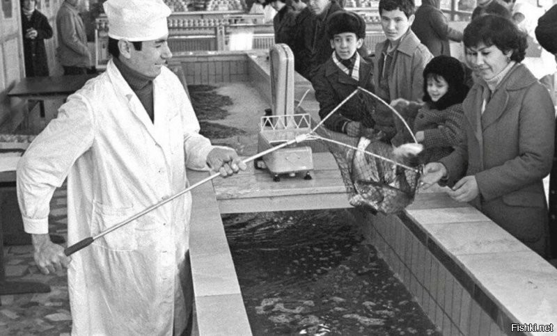 В Калининграде в 70х был магазин Дары моря и в нем был большой аквариум, рыбы у нас всегда хватало, потому что флот был рыбопромысловый если все посчитать так судов 500 было, в порту рыбаки в три корпуса стояли.