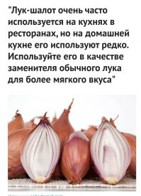 Лук шалот - 900р/кг
Лук репчатый - бесплатно р/кг
Перехожу на шалот