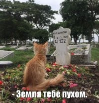 Не ищите здесь смысл. Здесь в основном маразм