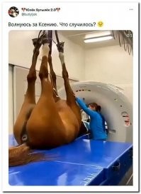 аж слюня от смеха на стол упала