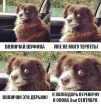 А ты перевернул календарь?