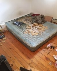 А системник он тоже оставил? Добровольно? А-то очень похоже, что на этом матрасе он не "оставил мне вот это", а оставил этот бренный мир.