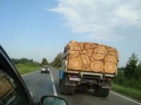 Это просто задняя крышка такая.