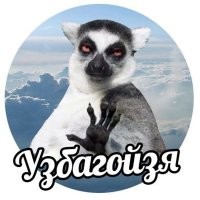 Дилдо и анальная пробка, выдыхай. Ну не получается у тебя ни оскорбить, ни подыбать. От такого вот сперматазоида-инвалида ты получился... чисто случайно.