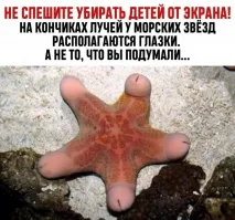 Так вот ты какой, многочлен!