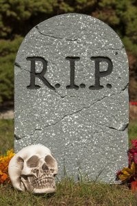 Модель из Новосибирска прокатила медведя на переднем сиденье