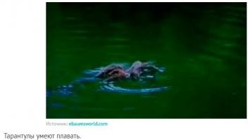 Главное, чтоб не летал