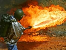  Тем временем в Австралии: в этой стране уже никто не удивляется таким вещам