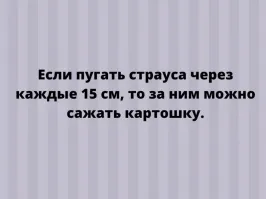 Если размер урожая не интересует, то конечно.