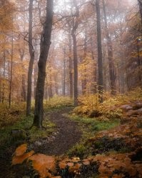 Ну, Какая хандра?? Красотища же, ведь!!!