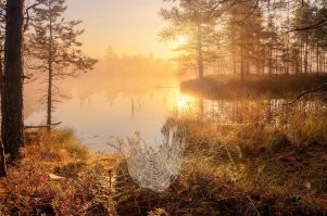 Ну, Какая хандра?? Красотища же, ведь!!!