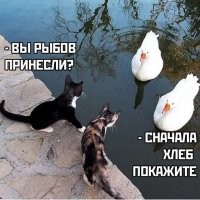 Раз вы продолжаете форсить тему, в таком случае: