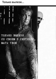 Шуфутинов день, или всероссийская истерия и костры рябин