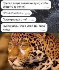 Весёлые картинки. Часть 5