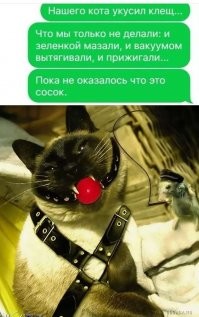 Смешные мемы