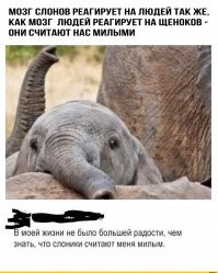 Просто гифки, всякие и разные