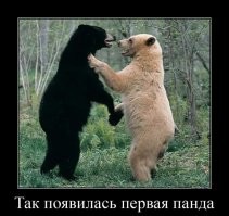 Весёлые картинки. Часть 6