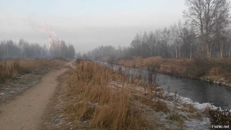 Смешные и познавательные картинки