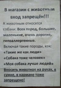 Когда идёшь в магазин, можно заметить массу интересного