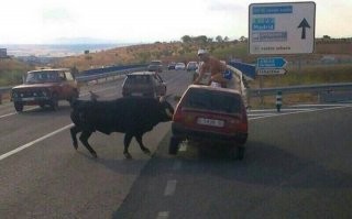 две последние понравились. а вот испанский бык разочаровал, ему надо было Ниву бодать