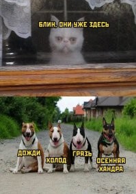 Ну, здравствуй, осенняя хандра