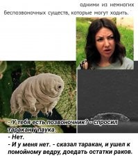 Ученым удалось заснять под микроскопом, как бегают тихоходки