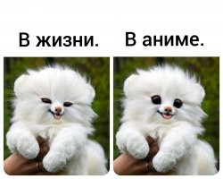 Позитив на сон грядущий 3