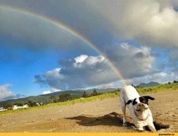 Видел в кино, как принцессы какают радугой.
Неужели меня обманули, и в жизни это не так?