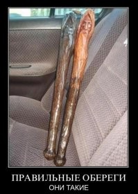 Смешные и познавательные картинки