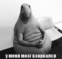 12 безумных фактов, которые взорвут ваш мозг