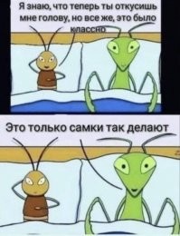 Зачем самка богомола съедает самца?