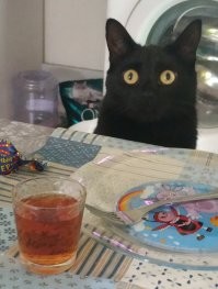 моя милашка