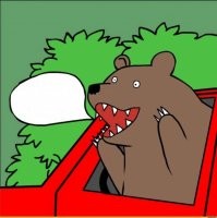 Модель из Новосибирска прокатила медведя на переднем сиденье