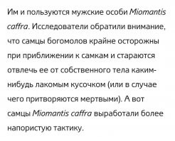 Зачем самка богомола съедает самца?