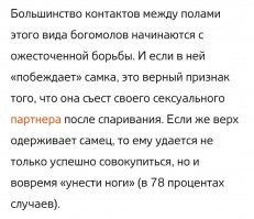 Зачем самка богомола съедает самца?